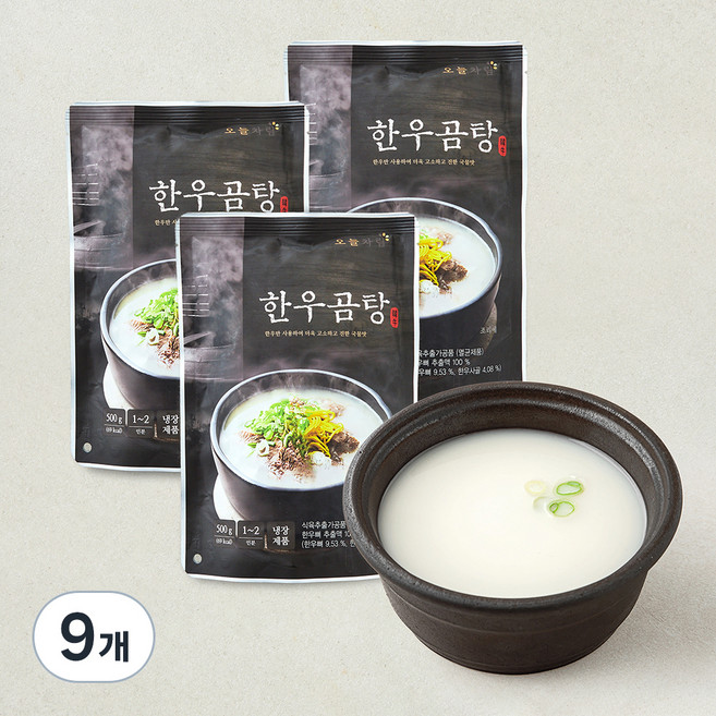 오늘차림 한우곰탕 냉장, 500g, 9개