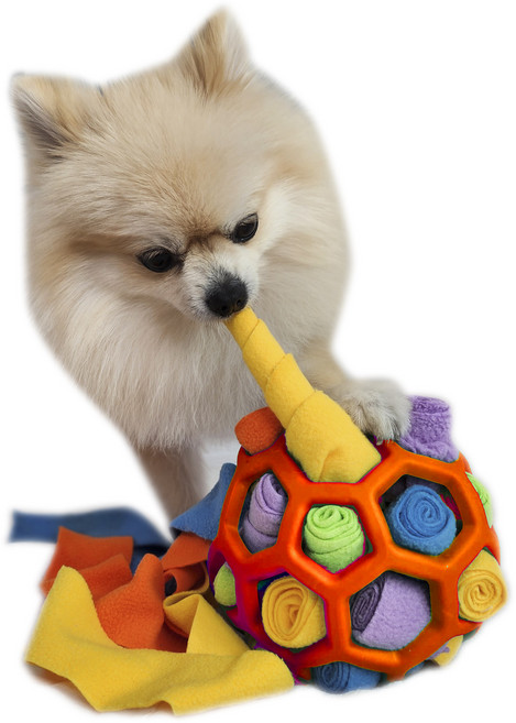 난펫 강아지 노즈워크 폼폼볼 장난감, 축구 레드, 1개