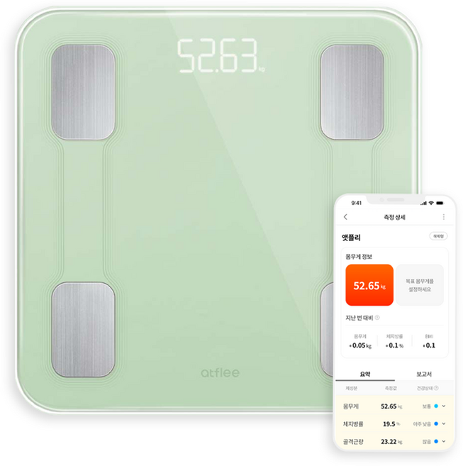 앳플리 스마트 더블스마트인 바디 체중계, T9, 민트그린, 1개