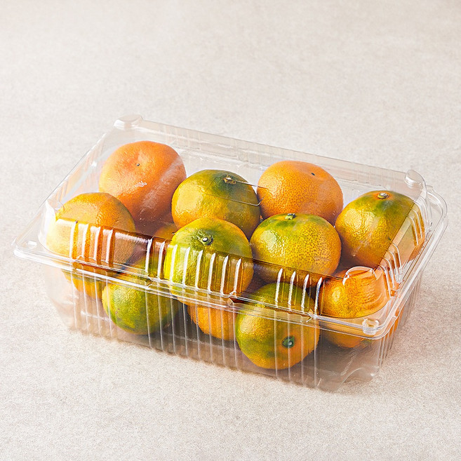 당도선별 10brix 감귤, 1.5kg(로얄과), 1개