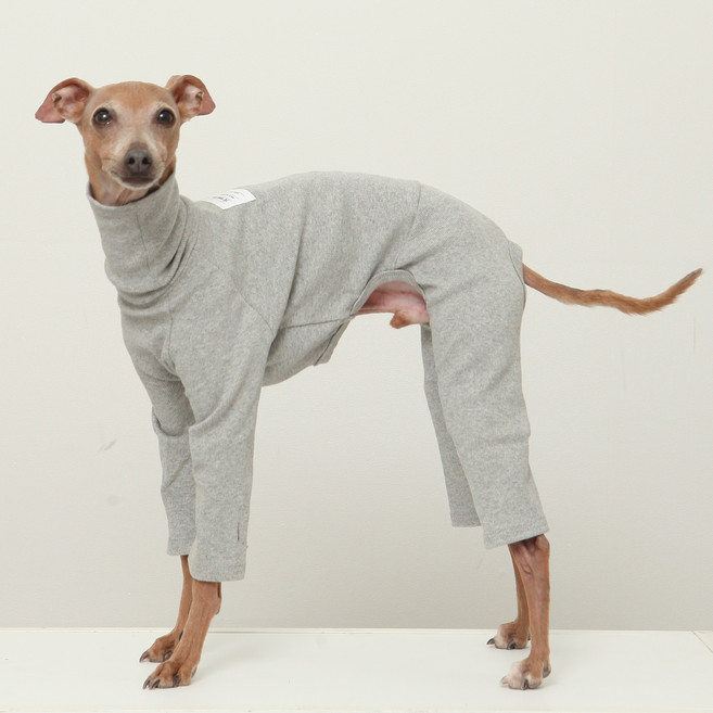 도기스타 이탈리안그레이하운드옷 아이쥐옷 소프트 골지 올인원, 그레이, 1개