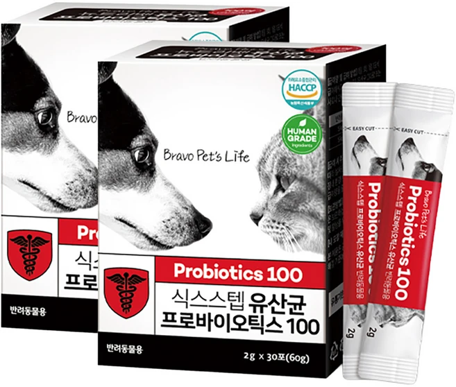 식스스텝 반려동물 영양제, 60g, 장건강/유산균, 2개 - 쿠팡