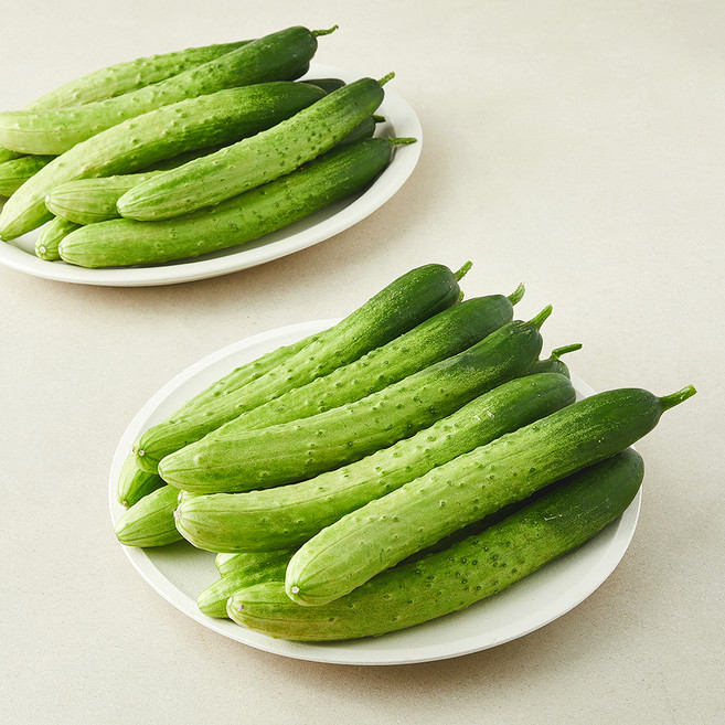 백오이 5kg(26~39입), 5kg, 1개입, 1박스