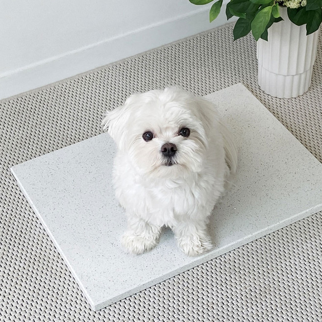 베베페페 강아지 대리석 쿨매트 엔지니어드스톤, 스노우, 1개