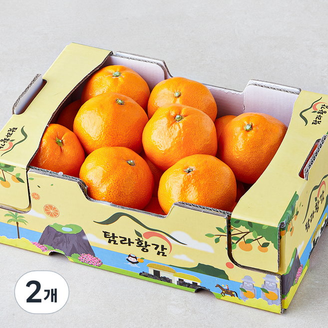 탐라황감 당도선별 10brix 하우스감귤, 2kg(대과), 2개