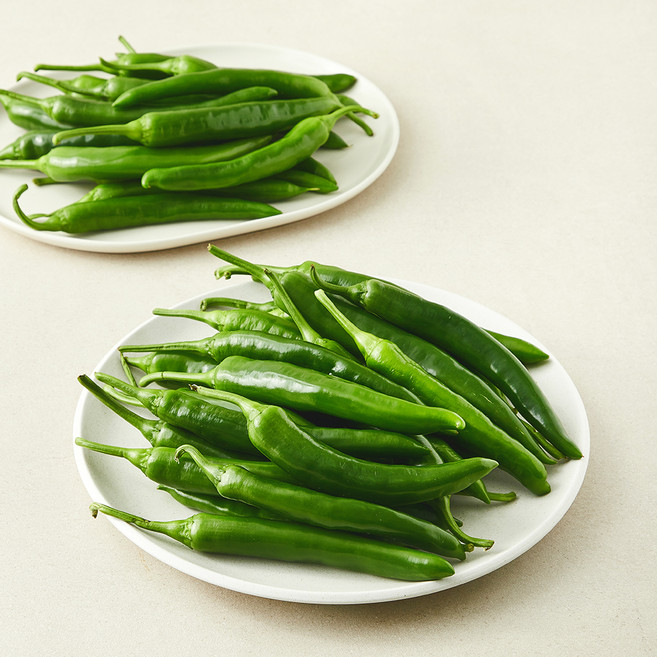 못생겨도 맛있는 오이맛고추, 5kg, 1개