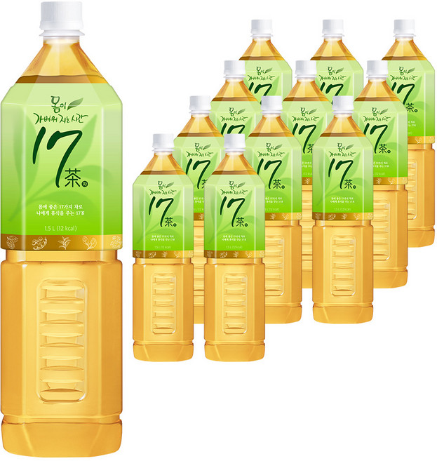 17차 몸이 가벼워지는 시간, 1.5L, 12개