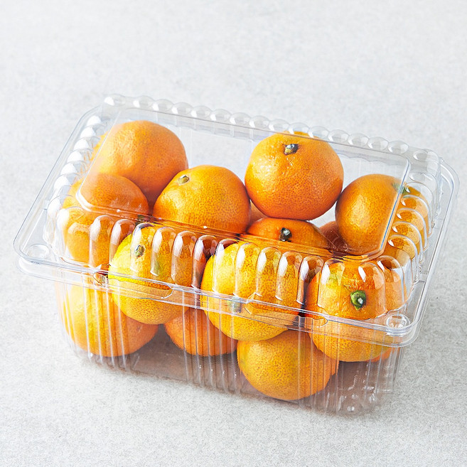 곰곰 당도선별 10brix 감귤, 800g(꼬마과), 1팩