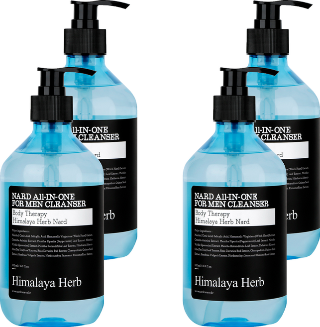 나드 올인원 남성청결제, 500ml, 4개