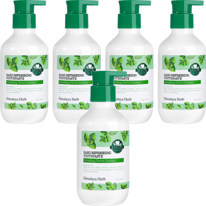 나드 부케가르니 구취케어 펌핑 치약, 370g, 5개