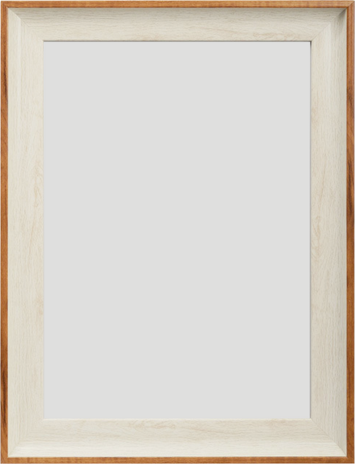 TRENY 歐款獎狀證書相框 木材 PS塑膠 可掛於牆上 直立/橫放兩用, 雙色白木, 1個