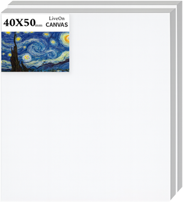리브온 고탄성 면천 유화 아크릴 겸용 프리미엄 캔버스 40 x 50 cm, 2개, 10호