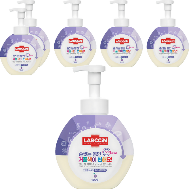 랩신 컬러체인징 포밍 핸드워시 포도향, 500ml, 6개
