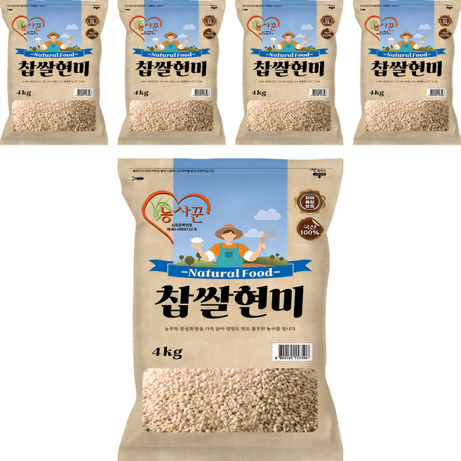 농사꾼 찹쌀현미 찰현미, 4kg, 5개