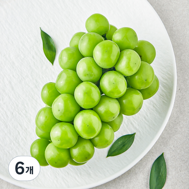 영길팜 당도선별 샤인머스캣, 500g, 6개