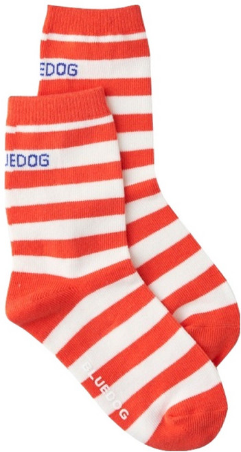 블루독 스트라이프 단말