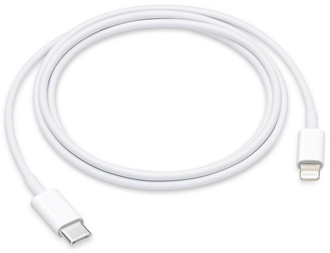 Apple 정품 Lightning-C타입 충전 케이블, MUQ93FE/A, 1개, 1m, 1m