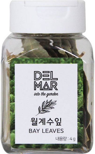 딜리셔스마켓 프리미엄 월계수 잎, 4g, 1개