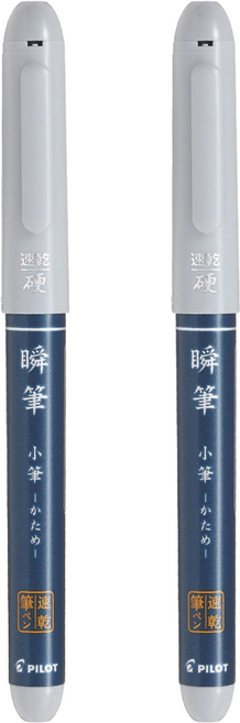 PILOT 百樂 瞬筆 小款硬尖 PSVS30KKUB, 灰色, 2支