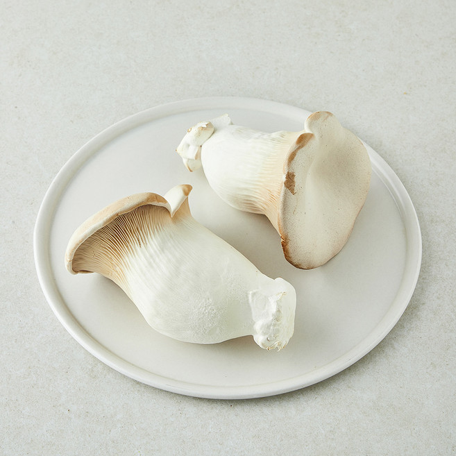 친환경 설원버섯, 1개, 400g