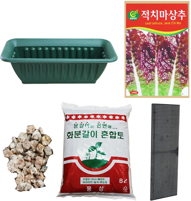텃밭가꾸기 세트 중, 적치마상추