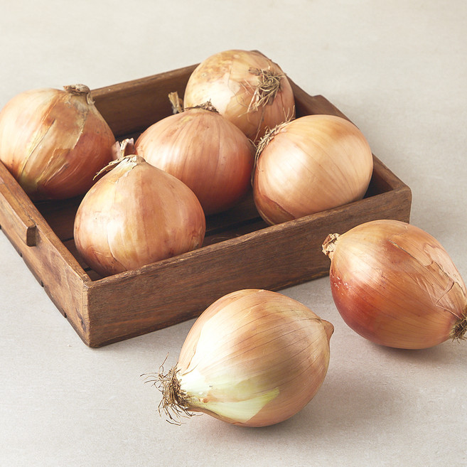 국내산 양파, 3kg(대), 1개