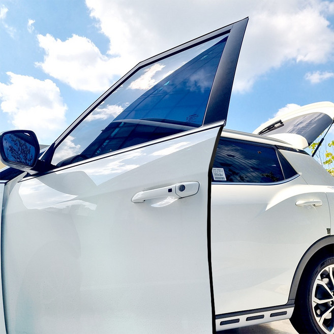 르메이어 도어가드 스트랩, 블랙, 1개