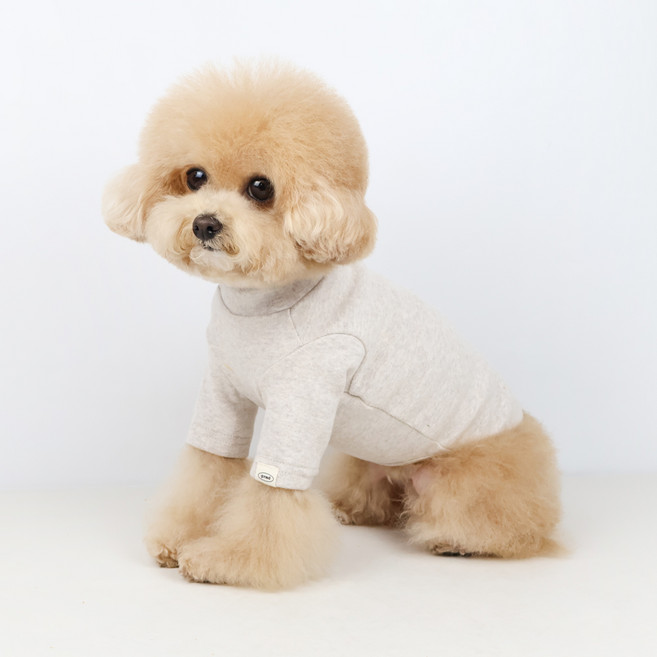 그루밍독 반려동물 무지 폴라 터틀넥 티셔츠, 오트밀, 1개