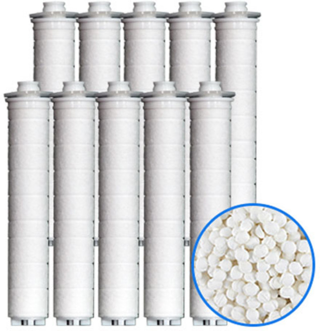 이온폴리스 대림바스 바스템 샤워기 호환 염소 제거필터, 1개, 무향