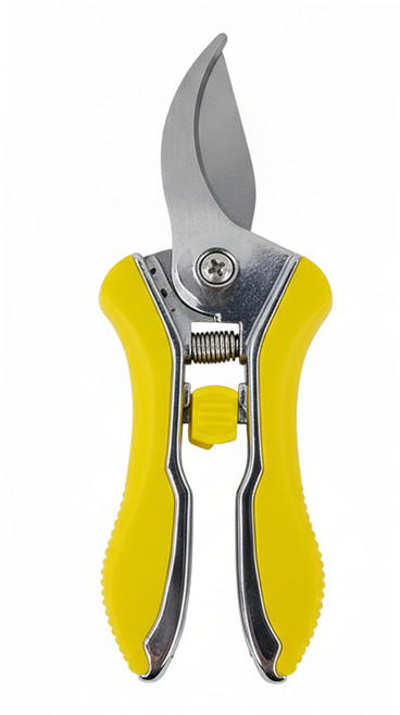 翠筠 好樹剪 16.5cm, 1支