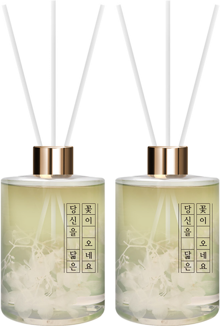 플렌느 레터링 디퓨저, 블랙체리, 500ml, 2개