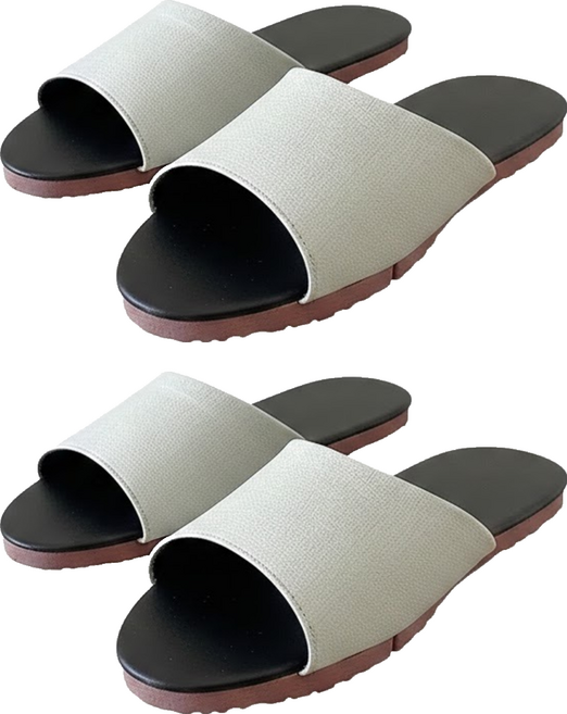 TAIWAN SLIPPER 台灣犀利趴 純色 皮質室內拖鞋, 日曜綠, 2雙