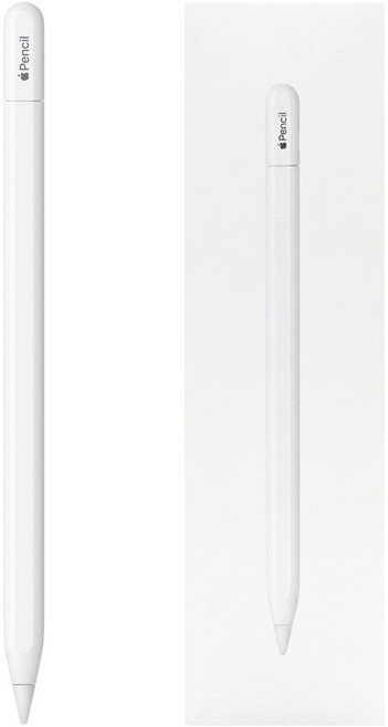 Apple 台灣公司貨 Pencil USB-C, 白色, 1支