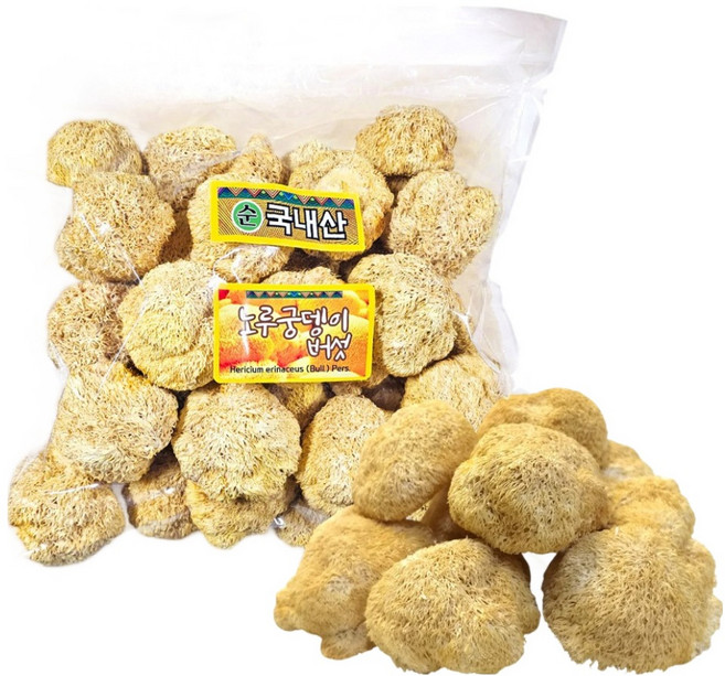 東光綜合物產 韓國產猴頭菇, 500g, 1個