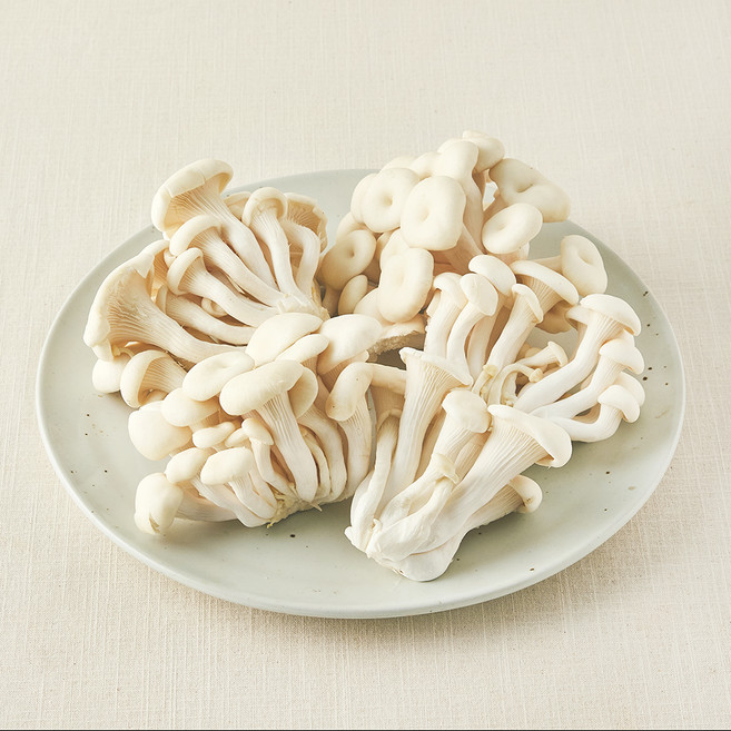 친환경 백색느타리버섯, 500g, 1개