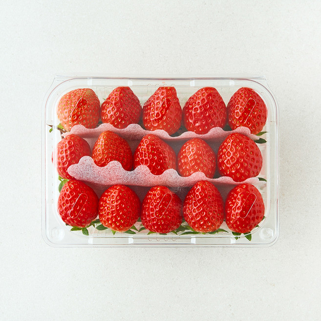 곰곰 설향딸기, 500g(M), 1팩