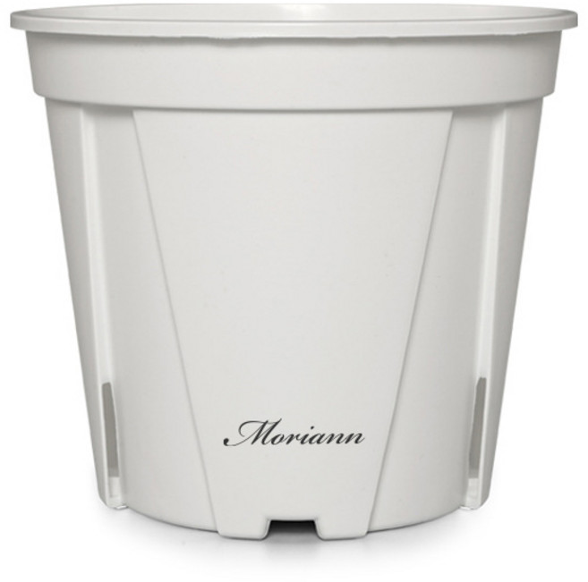 모리앤 에코 슬릿화분, 화이트, 1개