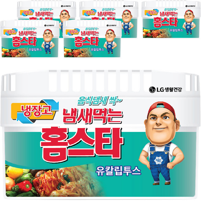 홈스타 냄새먹는 냉장고용 탈취제 유칼립투스 본품, 420g, 6개