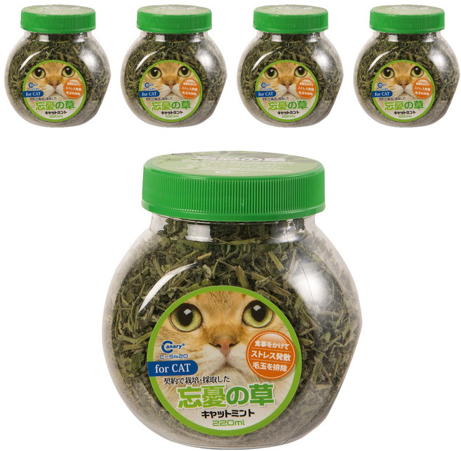 Canary 正午嫩採 貓的薄荷草 C-S420, 貓薄荷, 220ml, 5罐