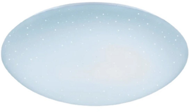 DANCELIGHT 舞光 智慧調光吸頂燈 75W, 1個, 白色