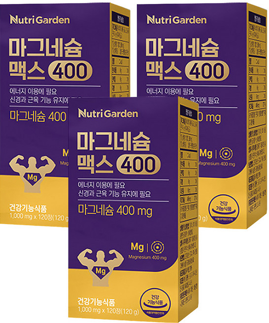 뉴트리가든 마그네슘 맥스400, 120정, 3개