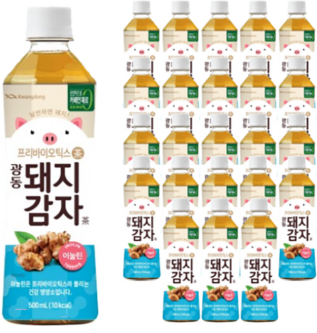 광동제약 돼지감자차, 500ml, 24개