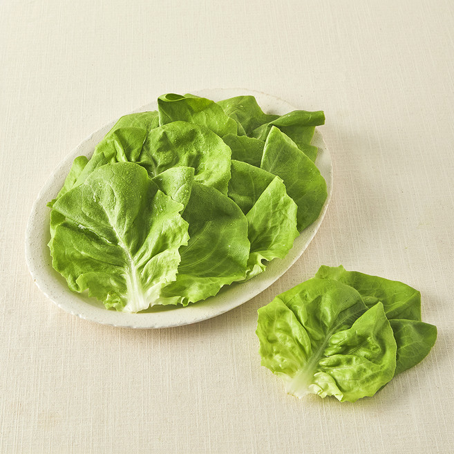 친환경 인증 쌈용 버터헤드, 100g, 1개