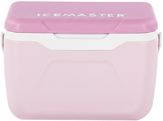 ICEMASTER 戶外便攜手提冷暖雙用冰箱 保冷箱 釣魚箱 29.5 x 18 x 28cm 1kg, 香芋紫, 5.5L