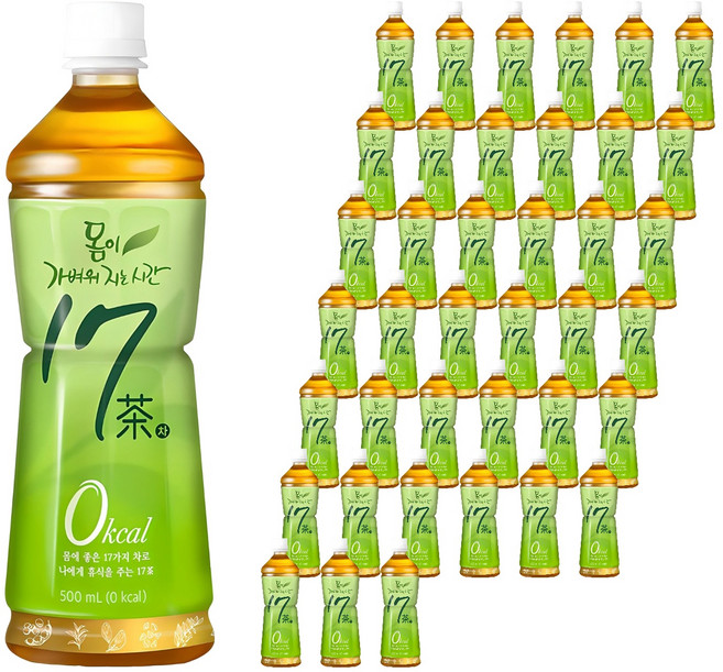 17차 몸이 가벼워지는 시간, 500ml, 40개