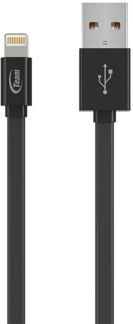 TEAMGROUP 十銓 Lightning 扁平充電線 100cm iPhone iPad iPod 適用 MFI 認證, 黑色, 1條