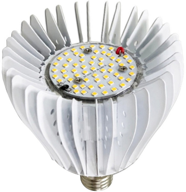 JIUNPEY 君沛光電 40W LED植物燈泡 加強型光譜, 1個