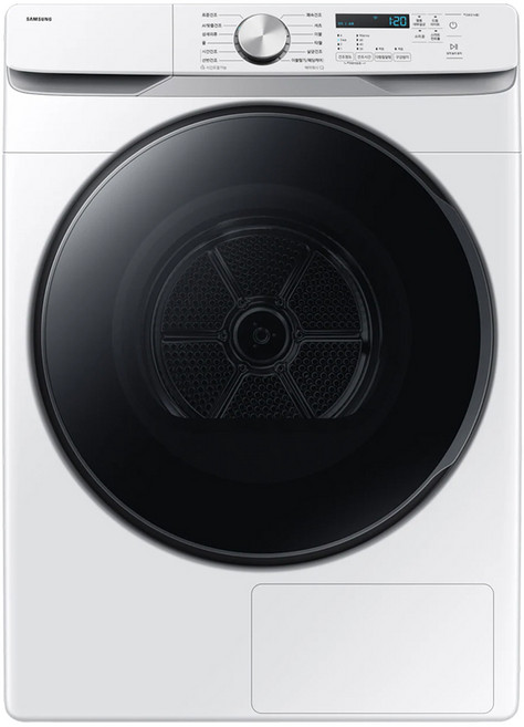 삼성전자 AI 건조기 21kg 방문설치, DV21DG8200BW, 화이트