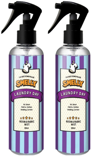 스멜리 룸앤패브릭, 250ml, 2개, 런드리데이