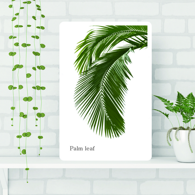 아이캔컴퍼니 국내생산 접이식 액자 테이블 대, 야자수잎B